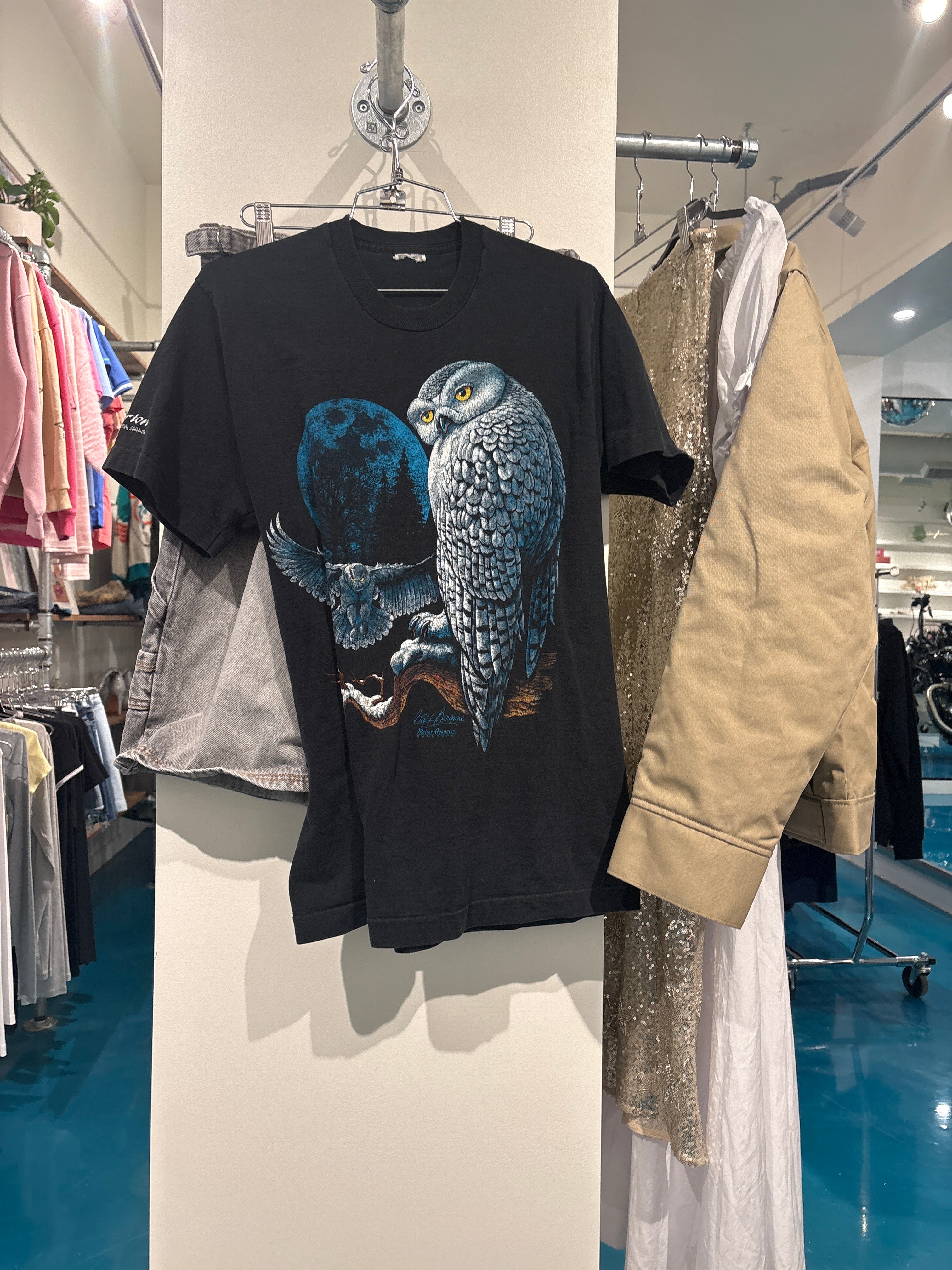 owl T