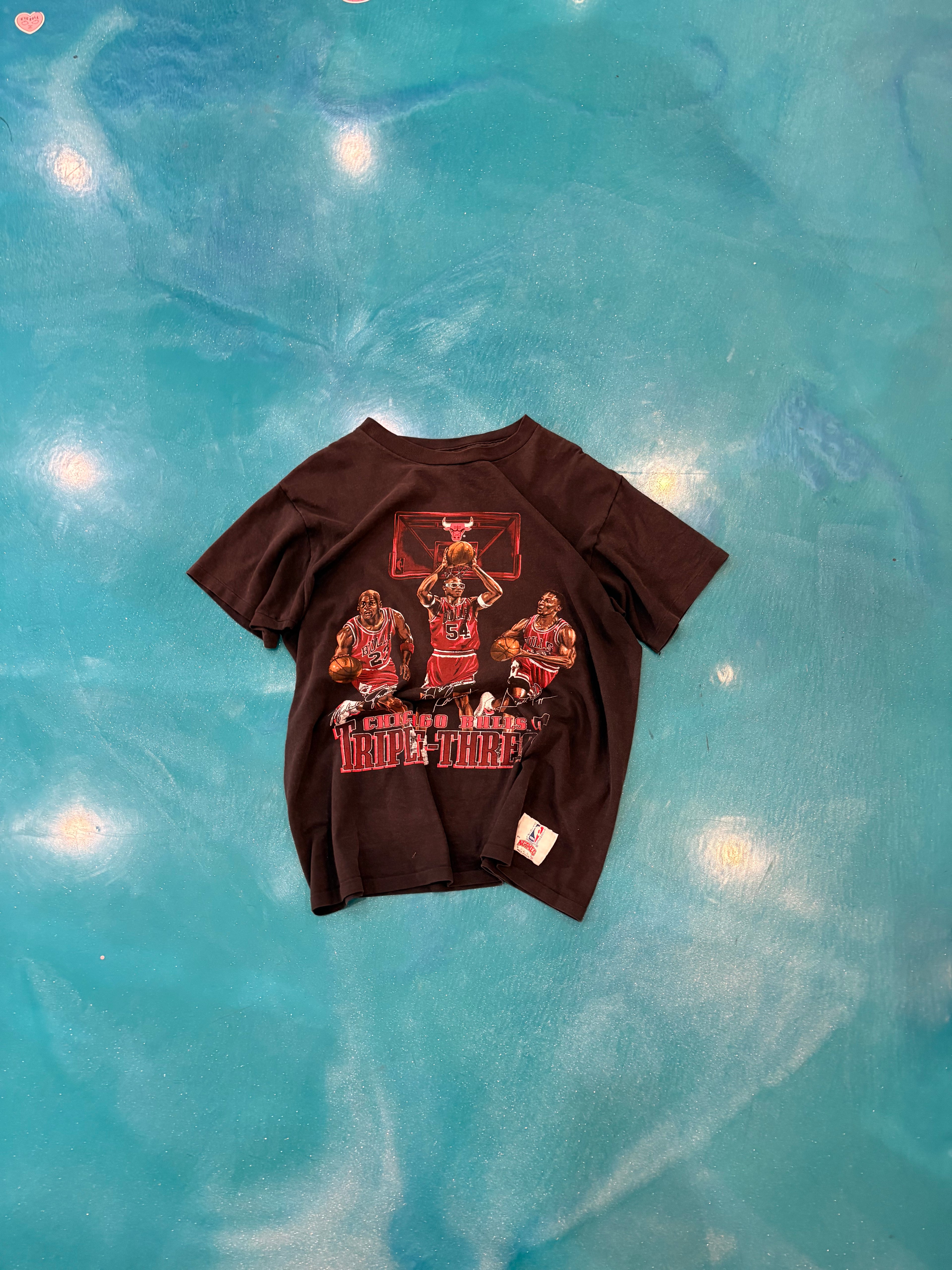 Vintage Bulls Tshirt (L)