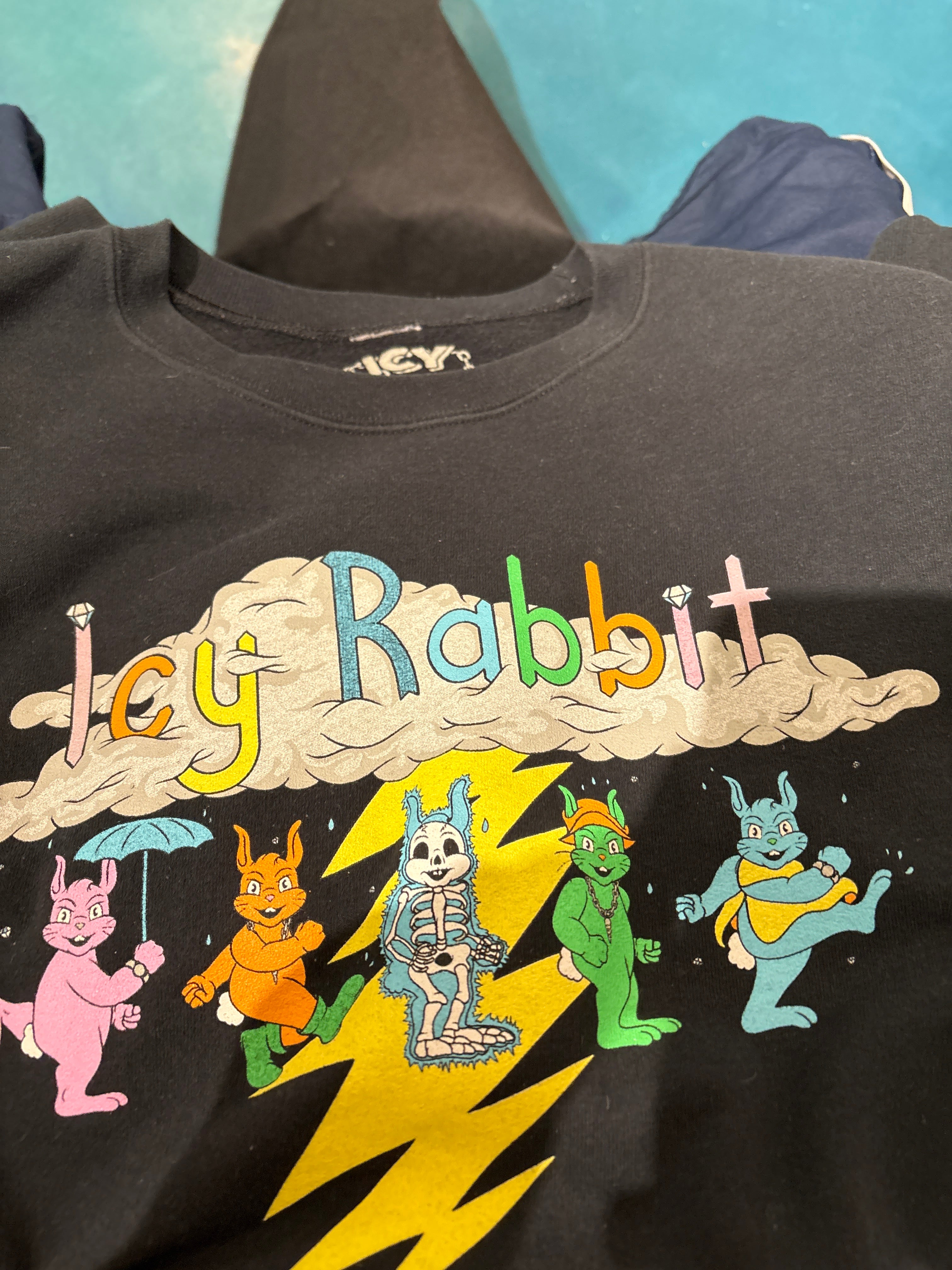 Icy Rabbit crewneck L