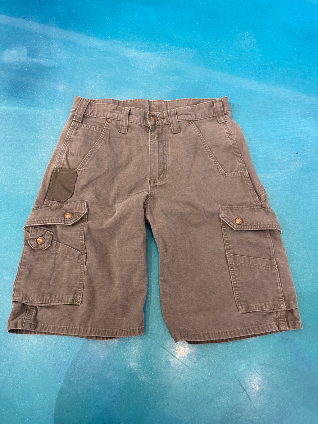 CARHARTT Cargo Shorts (30)