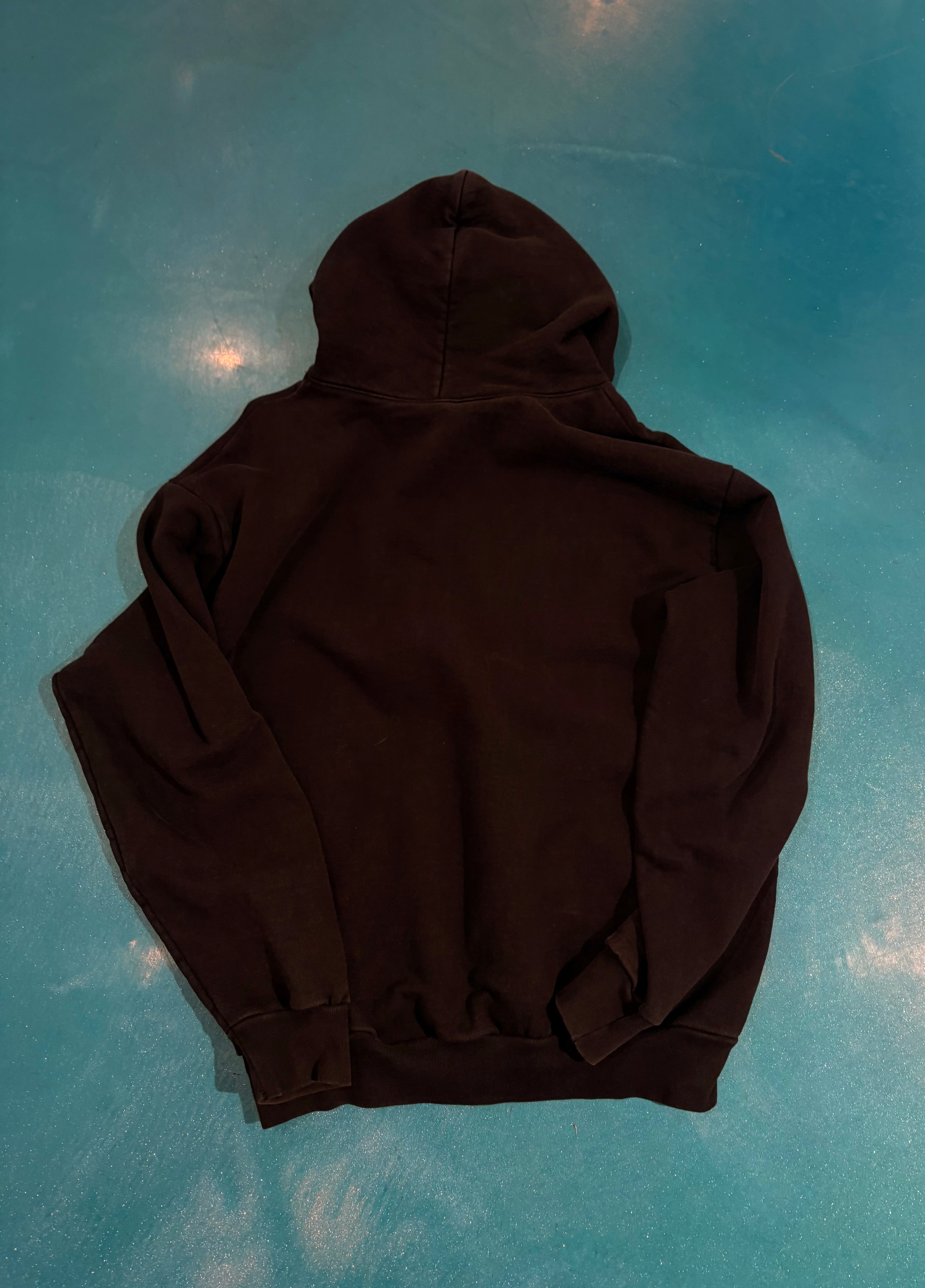 Trex Hoodie (L)