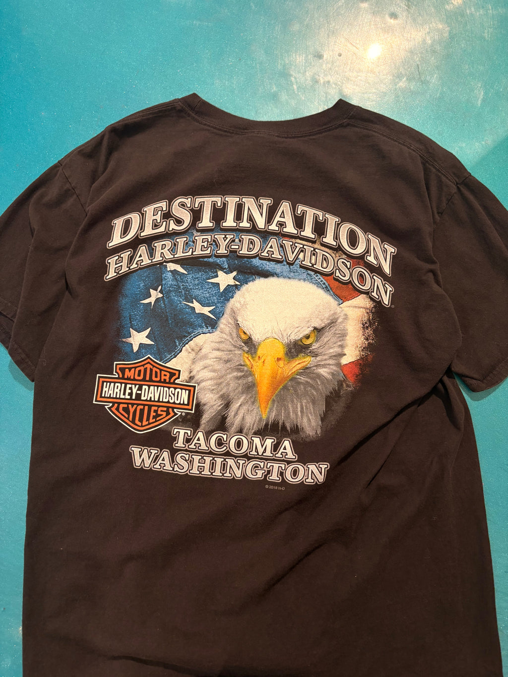 Tacoma Washington Harley
