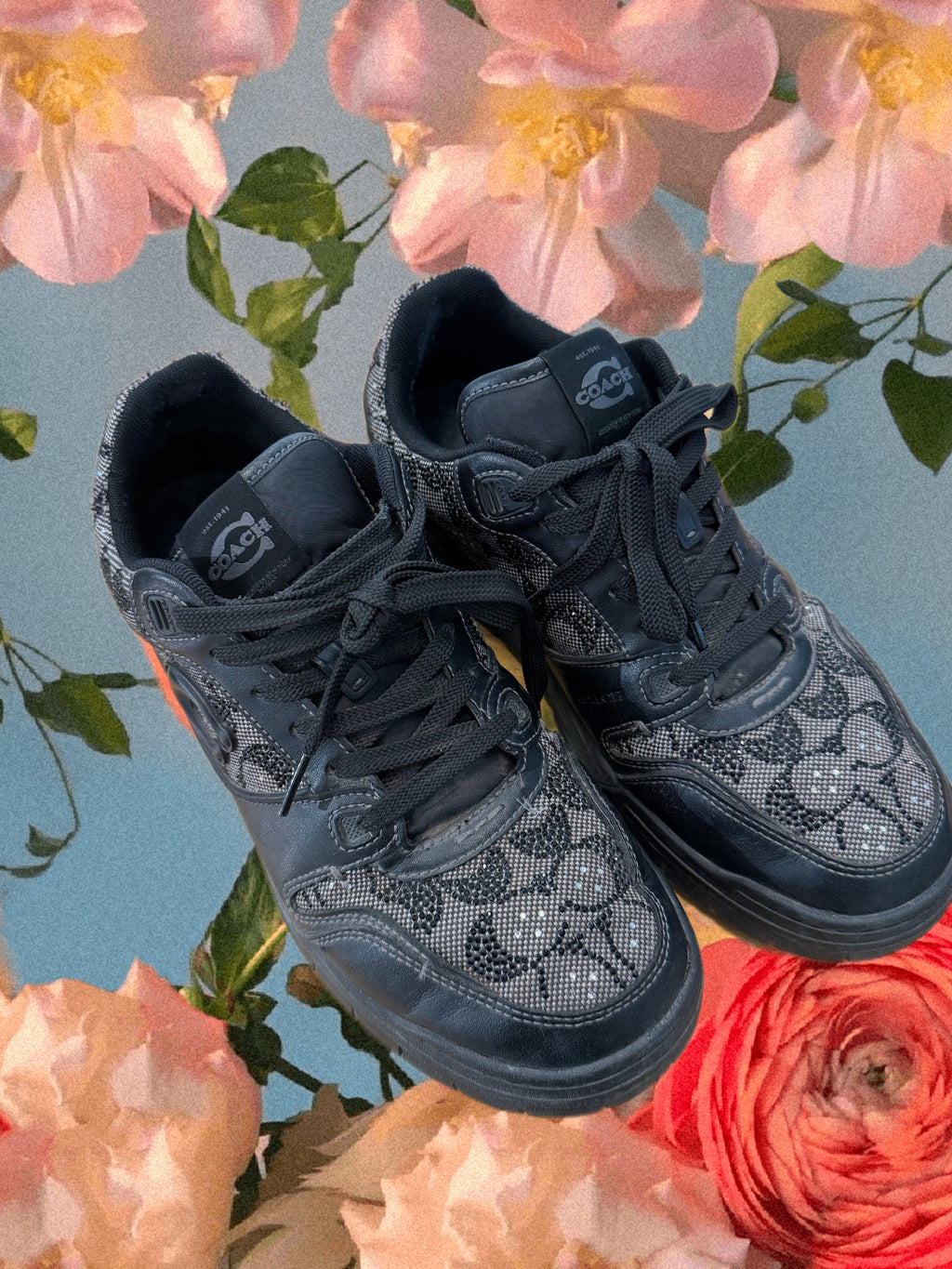 Coach Shoes (10D)
