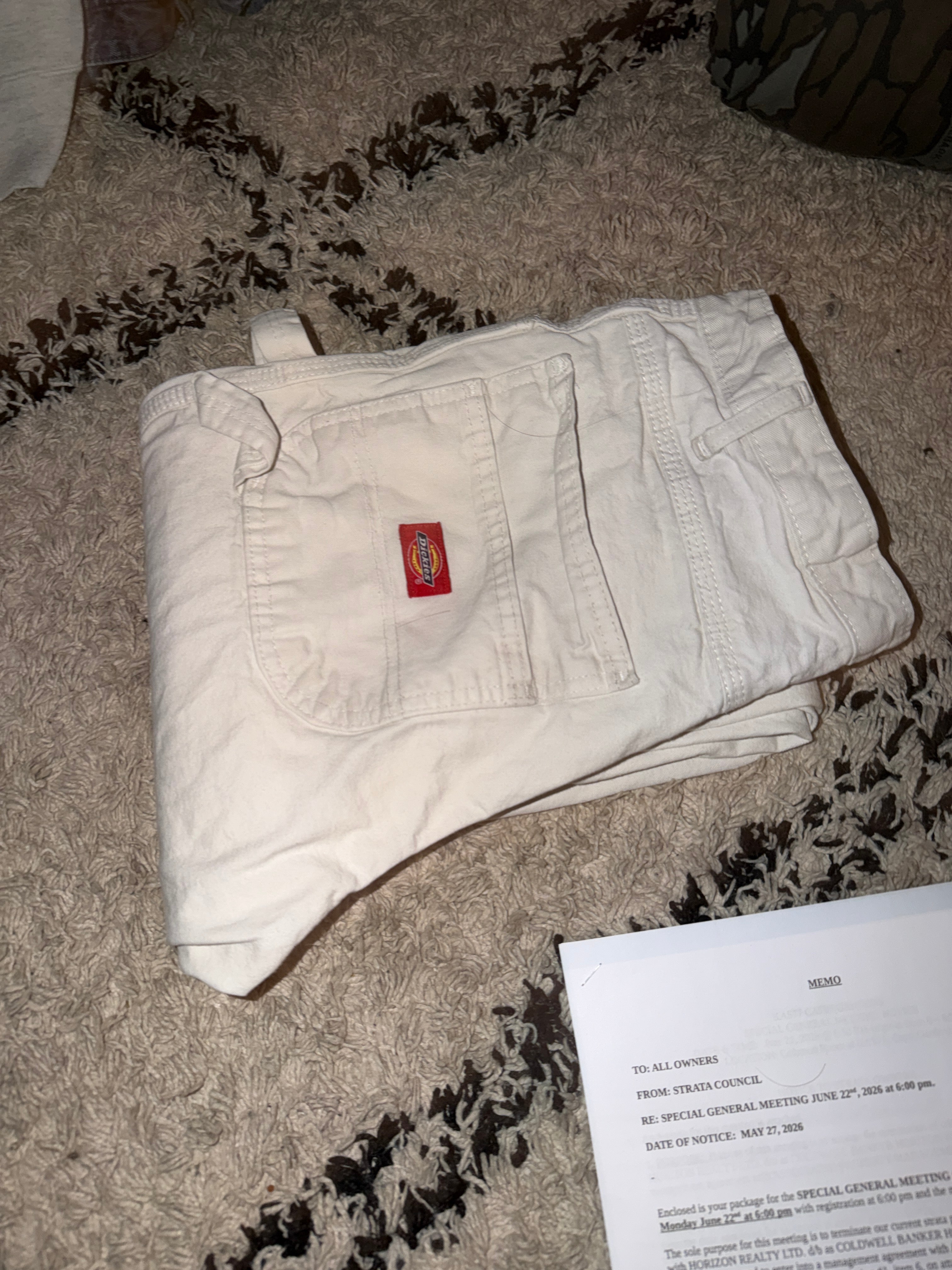 Dickies pants