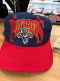 Vintage Panthers Hat