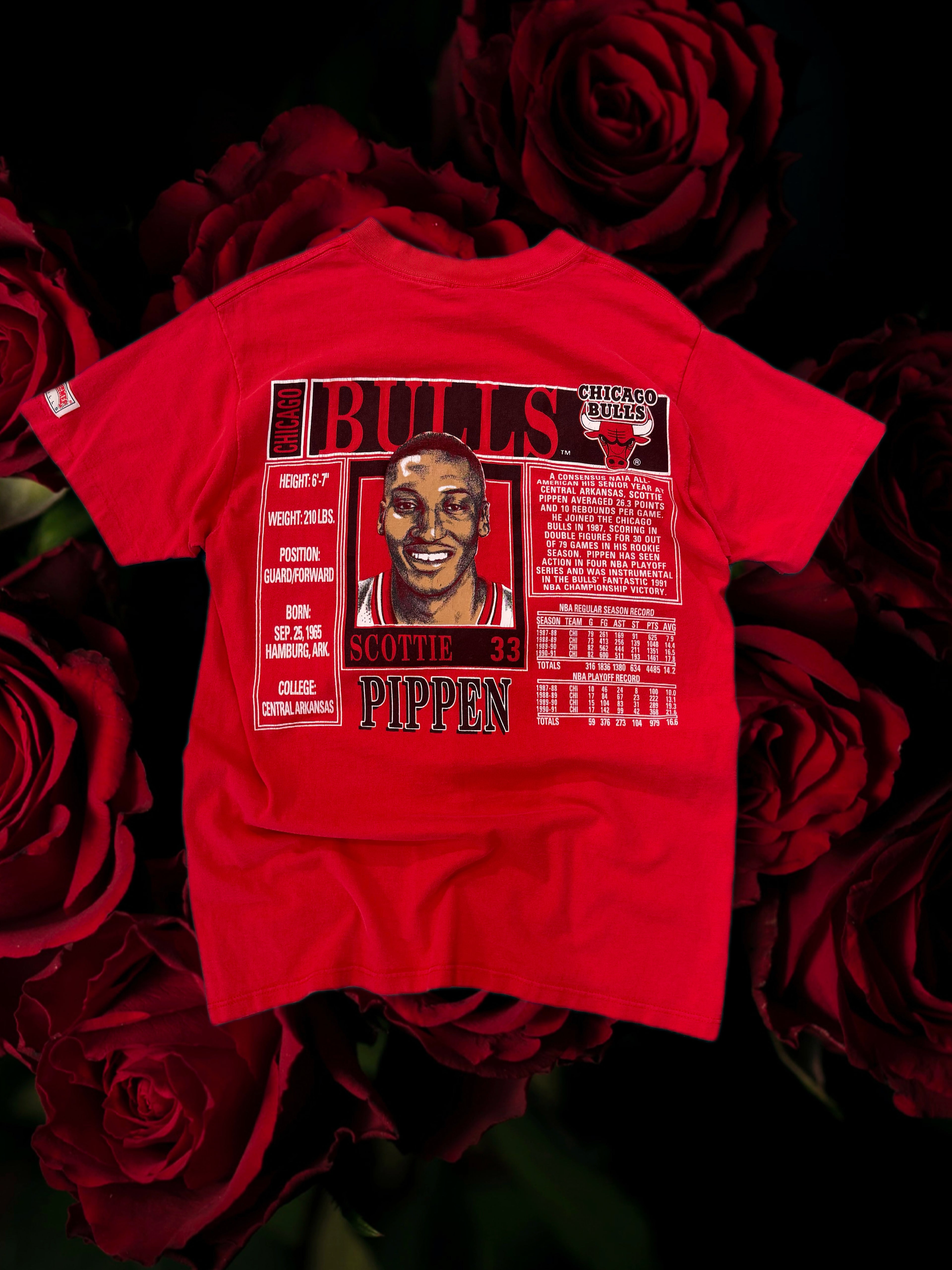 Vintage Scottie Pippen T-Shirt (L)