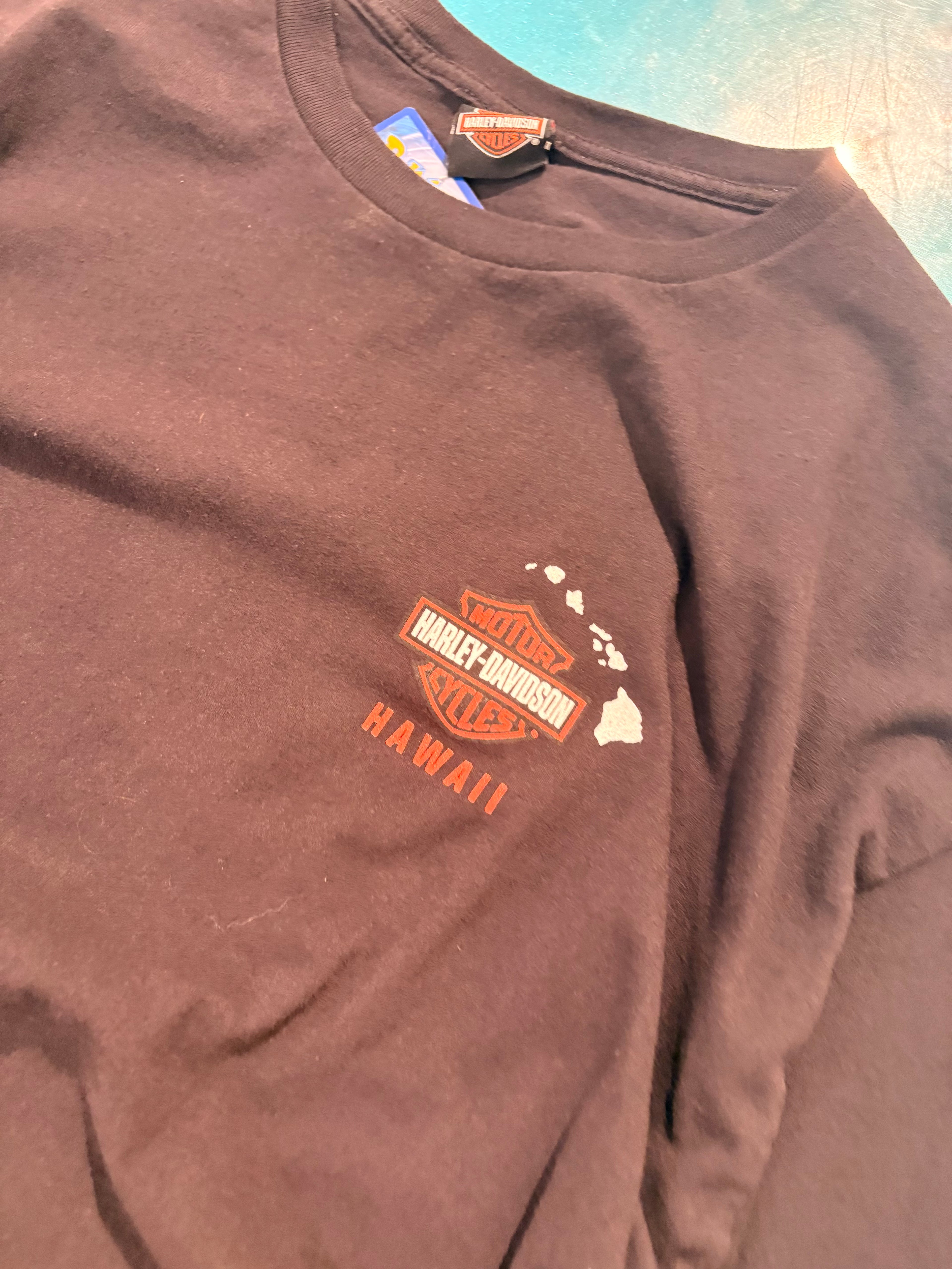 Vintage Harley Tshirt