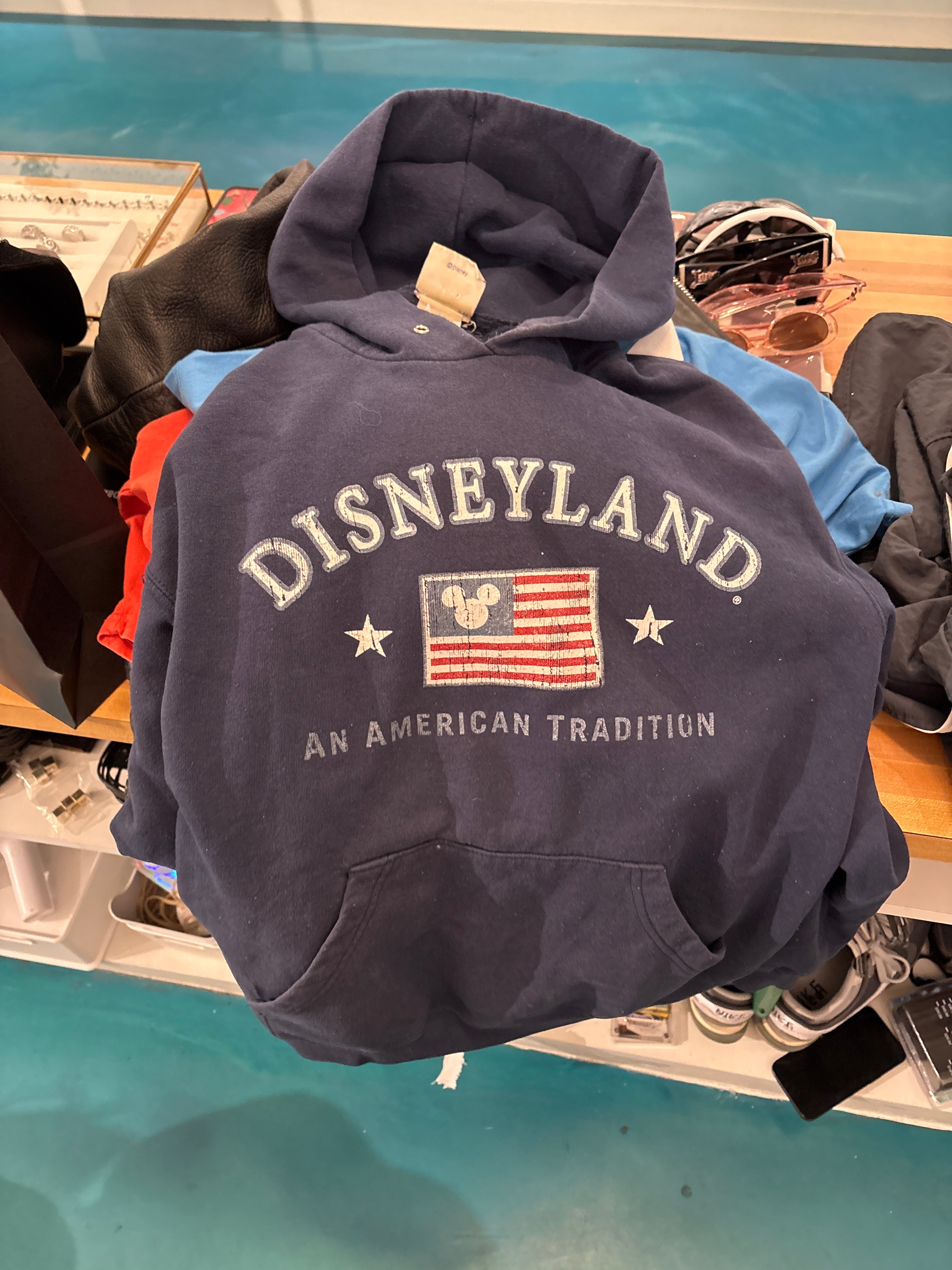vintage disneyland hoodie M D