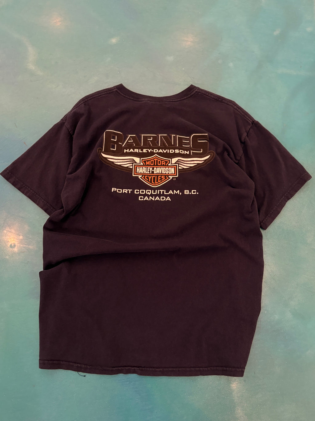 Harley Davidson Time to Ride