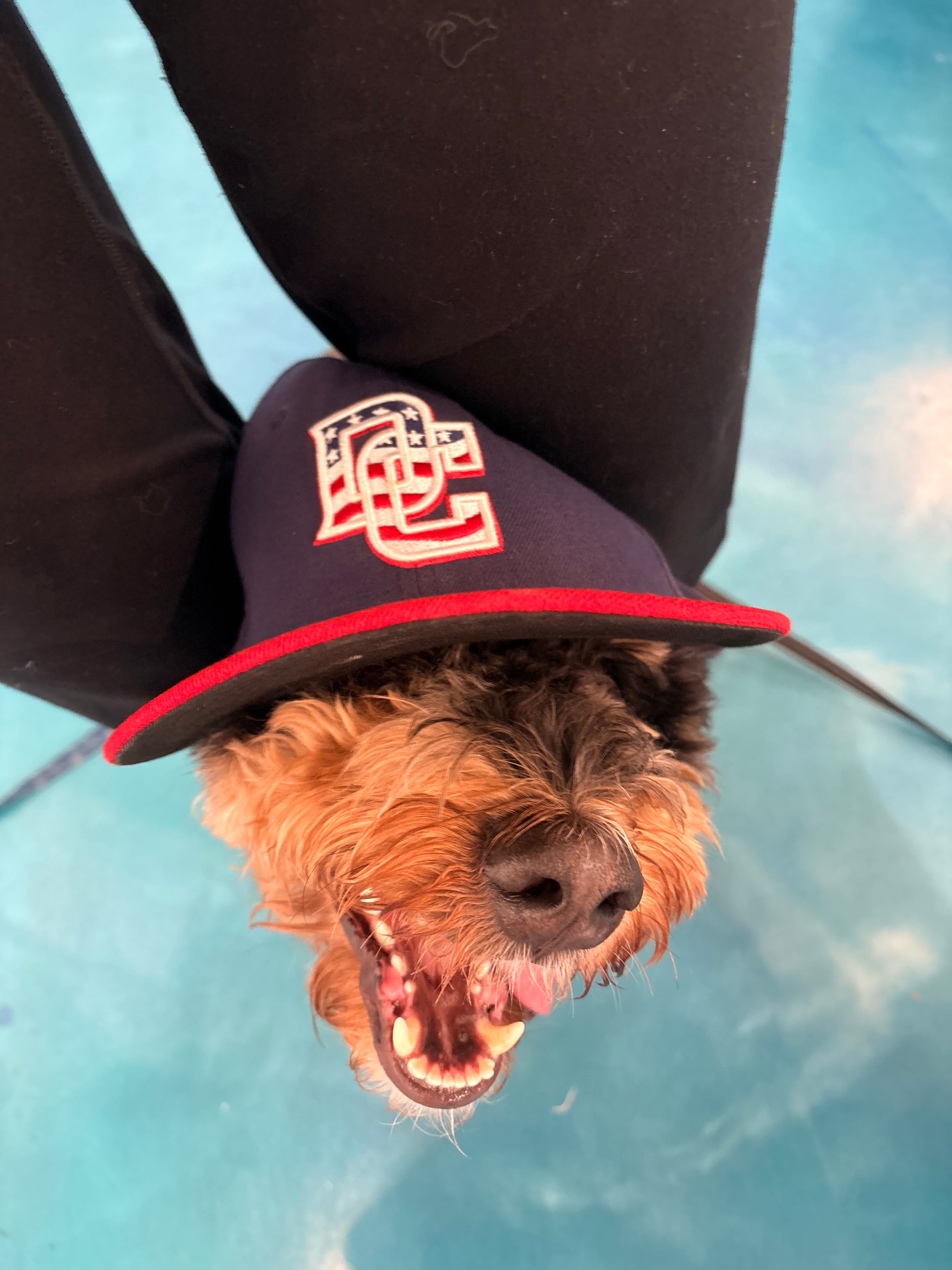 DC Usa fitted (7) D
