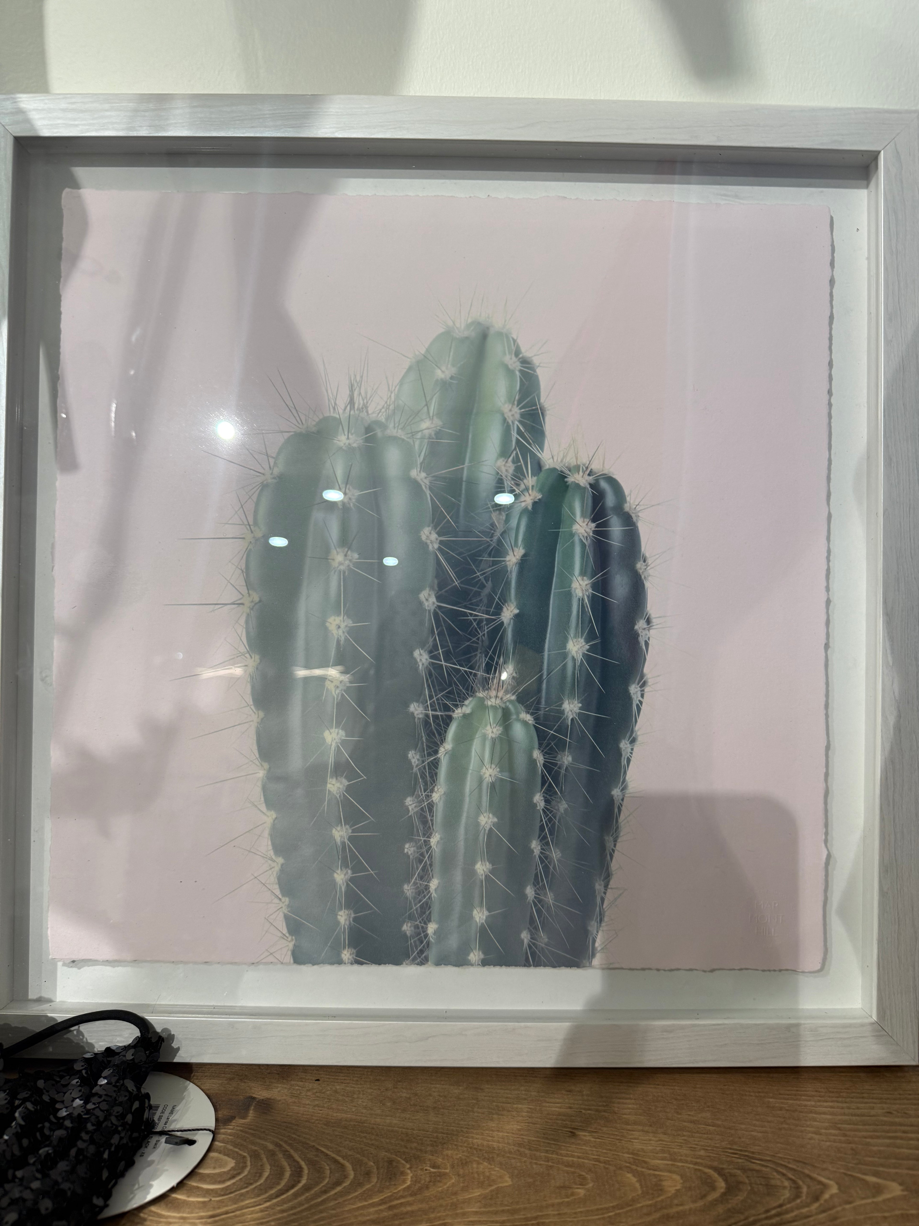 Cactus Art