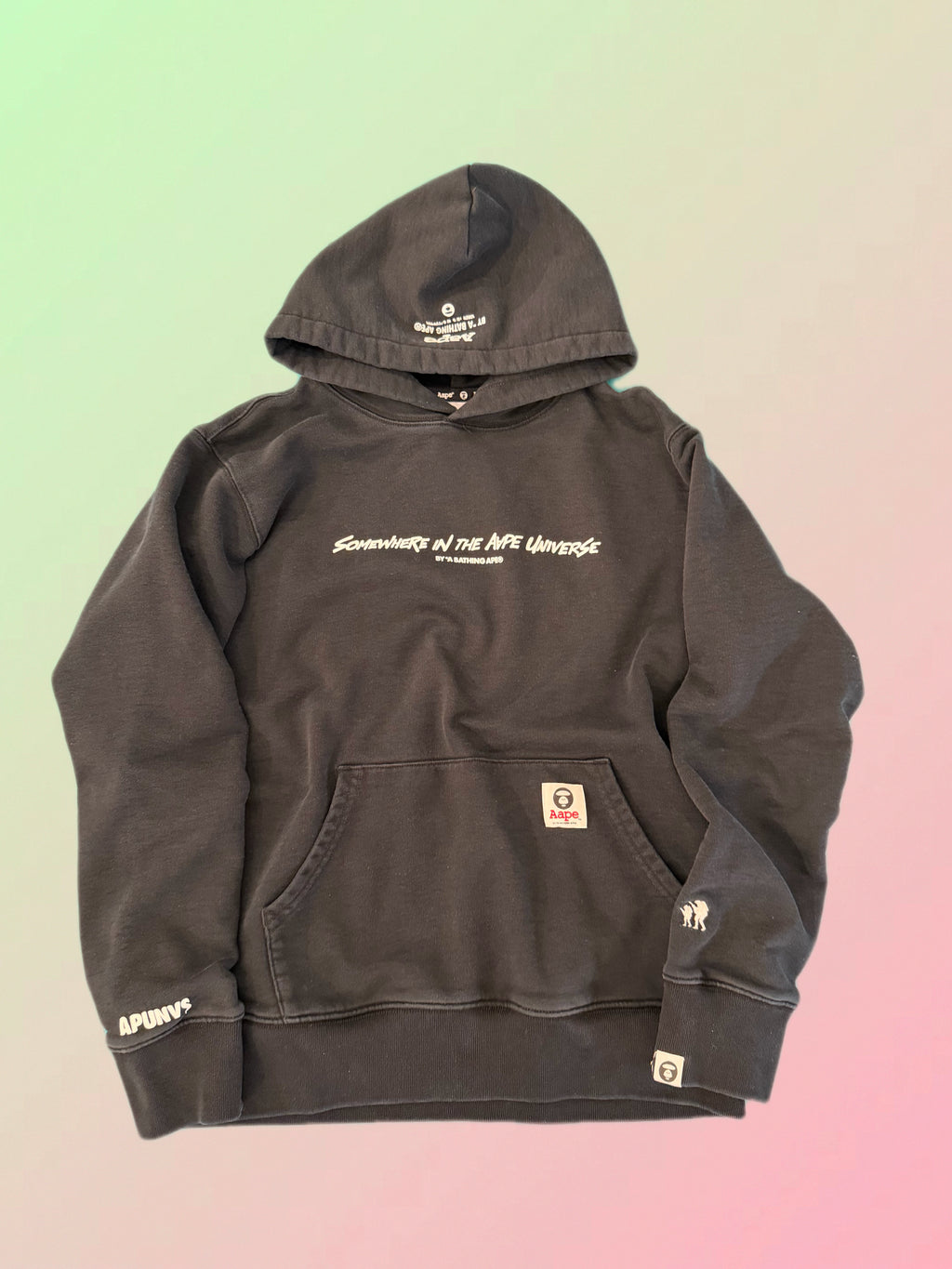 AAPE Hoodie (L)