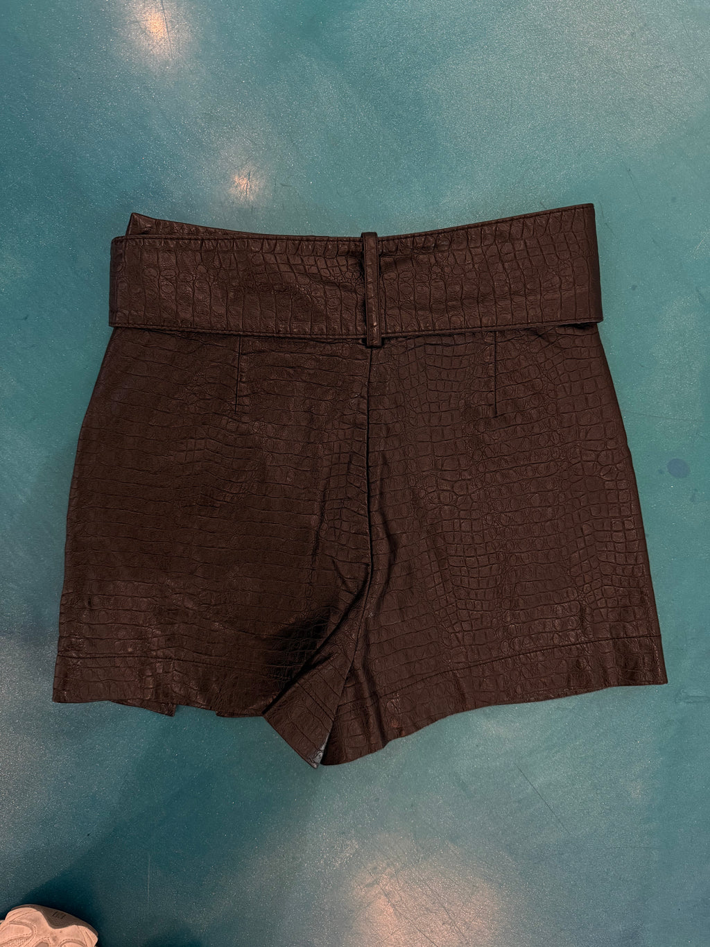 Zara Snakeskin Skirt (S)