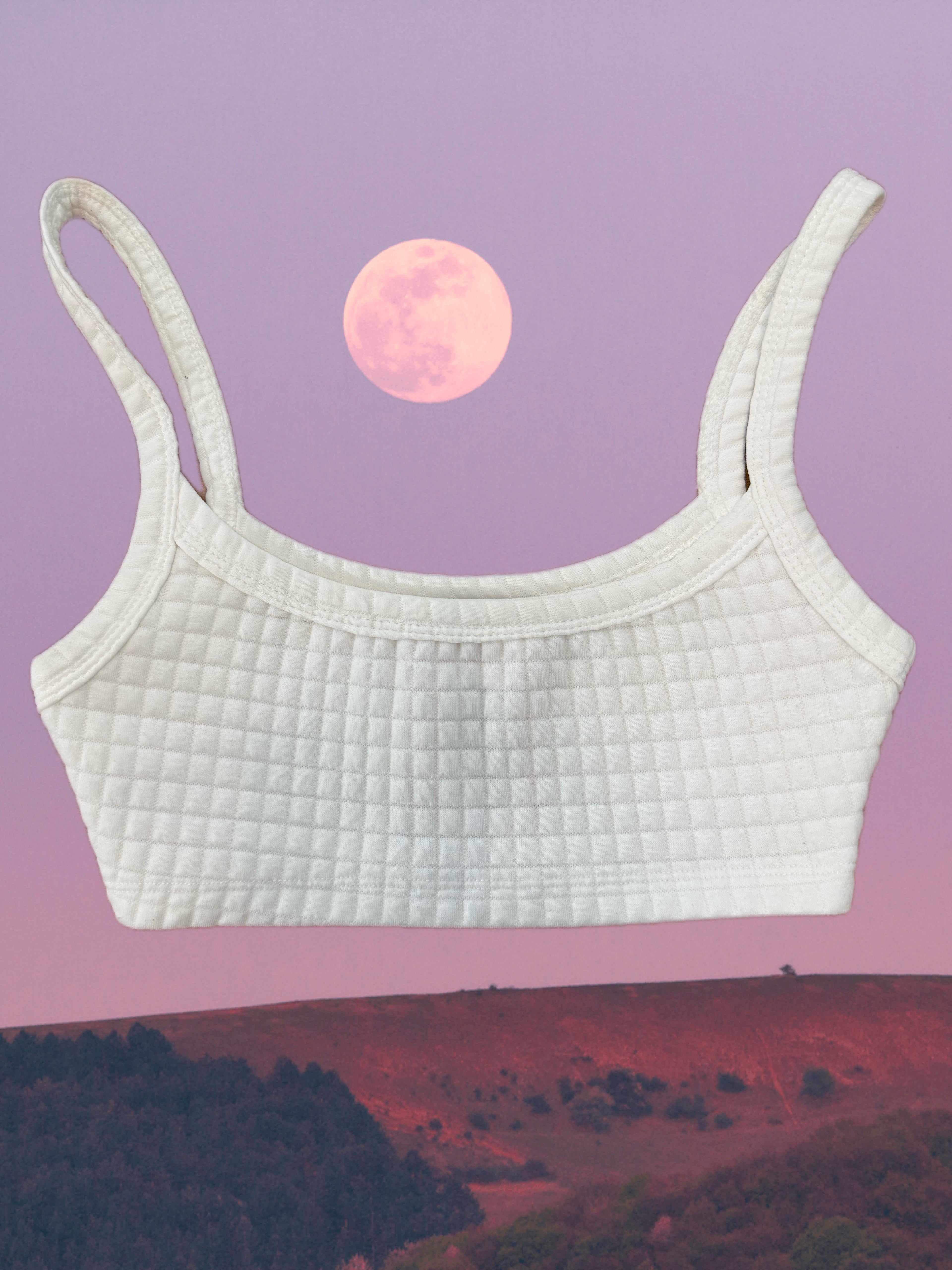 Princess Polly Sports Bra (XS)